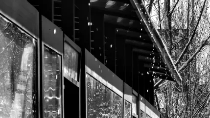 كازينو رويال فالي تطبيق الهاتف المحمول